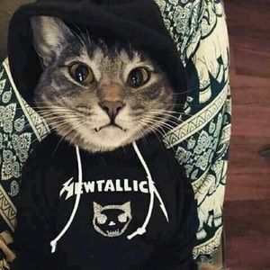 Meet your Posher, Sanchez